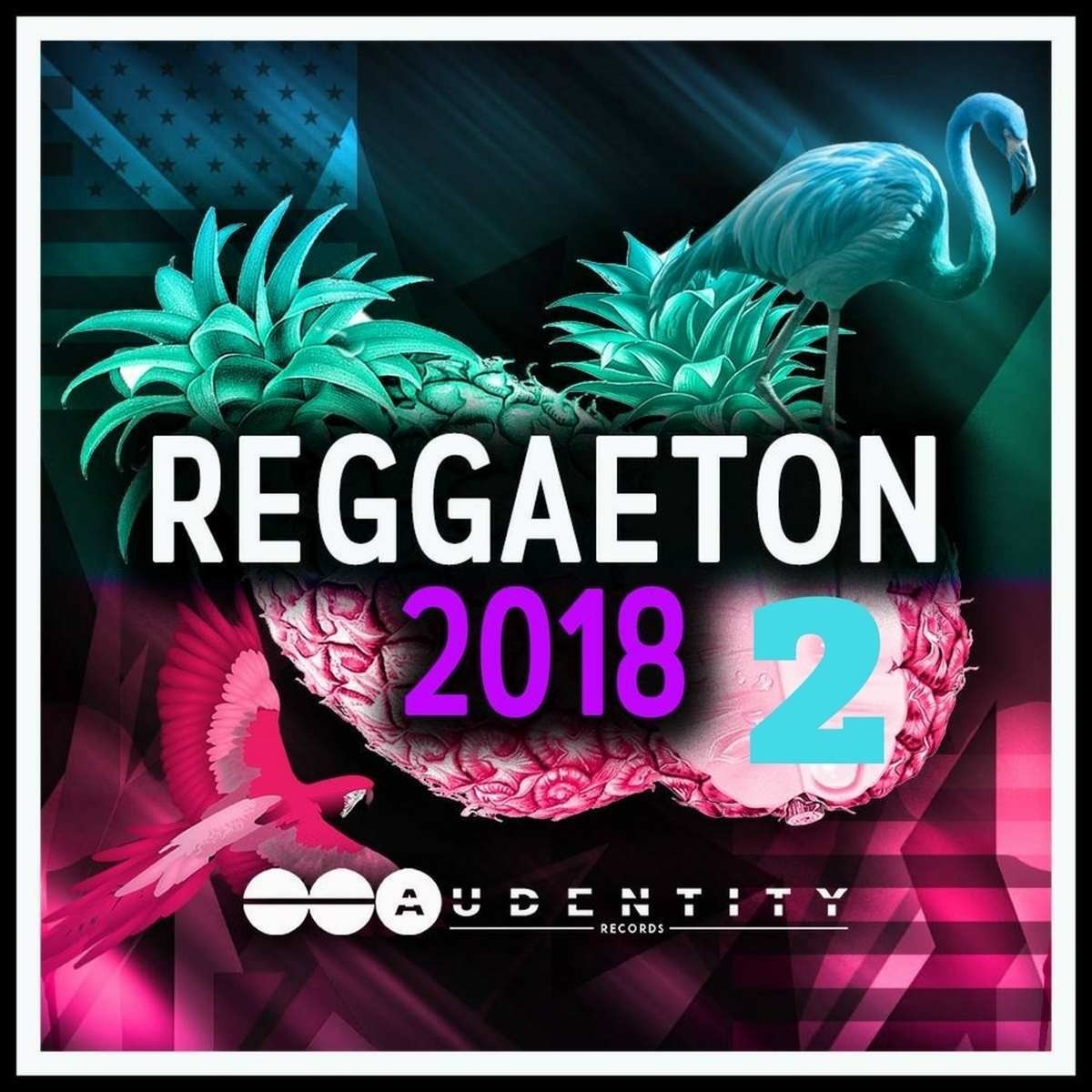 Audentity Records - Reggaeton 2018 Vol 2 Sample Packs Software GUI Artwork